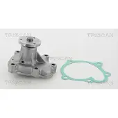 TRISCAN 8600 24054 Waterpomp