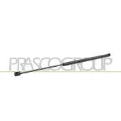 PRASCO FD4249055 Gasveer achterklep