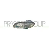 PRASCO PG0594413 Mistlamp