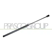 PRASCO FD4269055 Gasveer achterklep