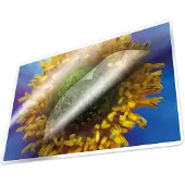 Kangaro lamineerhoezen - A3 - 100 micron - glanzend - 100 stuks - K-16011