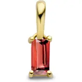 The Jewelry Collection 14K geelgoud hanger met geboortesteen 4027207