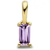 The Jewelry Collection 14K geelgoud hanger met geboortesteen 4027206