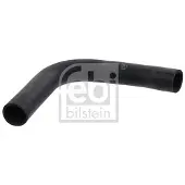 FEBI BILSTEIN 35312 Radiateurslang