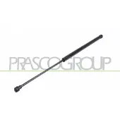 PRASCO AD0169055 Gasveer achterklep