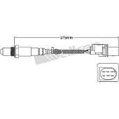 VEGAZ ULS-393 Lambdasonde