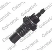 CALORSTAT by Vernet WS2556 Temperatuursensor