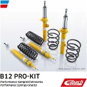 EIBACH E90-25-001-05-22 Schokdemper met veer