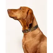 DOGGUO hondenhalsband ZEBRA-COLLAR-BEIGE/BLACK-L