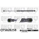 Quinton Hazell QTS828258 Gasveer achterklep