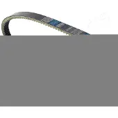 Japanparts DD-501 Distributieriem
