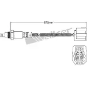 VEGAZ ULS-450 Lambdasonde