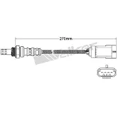 VEGAZ ULS-132 Lambdasonde