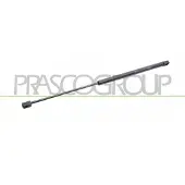 PRASCO FD7179055 Gasveer achterklep