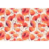 Karo-art 208cm X 146cm - Fotobehang - Prachtige rode Klaprozen, 11 maten, Premium print, inclusief behanglijm