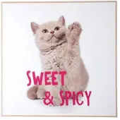 PT Living Wanddecoratie Kitten Sweet & Spicy Bright Pink