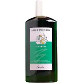 Careline Saunageur - Eucamint - 500 ml