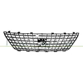 PRASCO PG5242031 Radiator grill