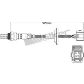 VEGAZ ULS-446 Lambdasonde