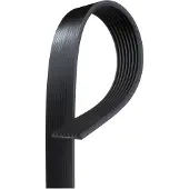 Gates 8PK1955HD Multiriem