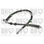 Quinton Hazell BFH6056 Remslang