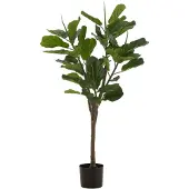 J-Line Vioolbladplant Plastiek Groen