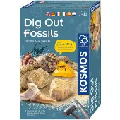 Kosmos Dig Out Fossils - Opgravingsset - Graaf Echte Fossielen Op - Inclusief Barnsteen, Steenkoraal en Fossiele Schelpen - Archeologie voor Kinderen - STEM Speelgoed - Vanaf 7 Jaar