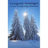 Benza Dubbele Religieuze Kerstkaarten 11 - 6 stuks