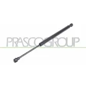 PRASCO BM0189055 Gasveer achterklep