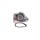 AKS DASIS 570120N Waterpomp