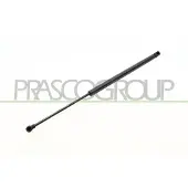 PRASCO CI4249055 Gasveer achterklep