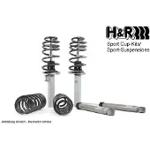H&R 31006-2 Schokdemper met veer