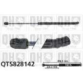 Quinton Hazell QTS828142 Gasveer achterklep