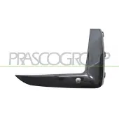 PRASCO BM0551233 Plaat, bumper