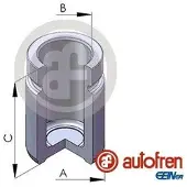 AUTOFREN SEINSA D025596 Zuiger, remklauw