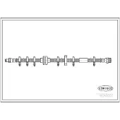 CORTECO 19018557 Remslang