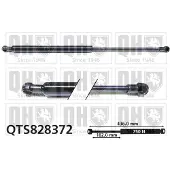 Quinton Hazell QTS828372 Gasveer achterklep