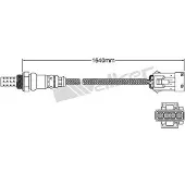 VEGAZ ULS-111 Lambdasonde