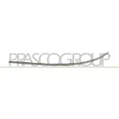 BLIC Sierlijst/beschermstrip, bumper 5703-05-3506923P links
