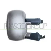 PRASCO Buitenspiegel FT9087123