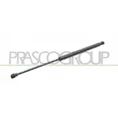 PRASCO FT3429055 Gasveer achterklep