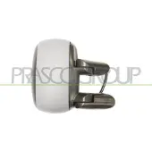 PRASCO Buitenspiegel FT9087323