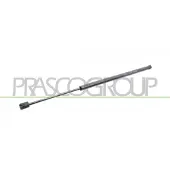 PRASCO FT0409055 Gasveer achterklep
