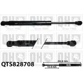 Quinton Hazell QTS828708 Gasveer, legbodem (Koffer- / Laadruimte)