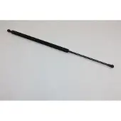 AUTOMEGA 100003110 Gasveer achterklep