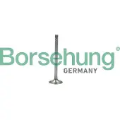 Borsehung B19007 Uitlaatklep