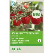 Intratuin Biologische Groentezaad Tomaat (Solanum Lycopersicum 'Koralik')