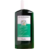 Careline Saunageur - Eucalyptus - 500 ml