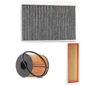 RIDEX 4055F3306 Filterset