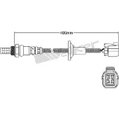 VEGAZ ULS-717 Lambdasonde